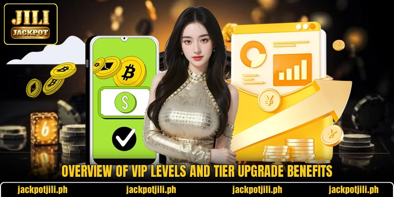 Overview of VIP levels and tier upgrade benefits Overview of VIP levels and tier upgrade benefits